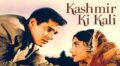 Kashmir Ki Kali Movie Lyrics